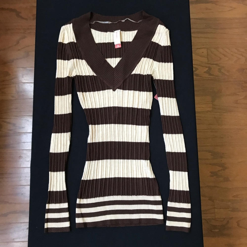Brown and white V neck sweater.